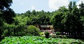 長(zhǎng)沙出發(fā)到花明樓、韶山、張家界國(guó)家森林公園、天門(mén)仙山國(guó)家森林公園四日游