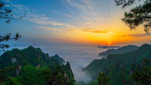 張家界森林公園（金鞭溪、袁家界、楊家界、天子山、十里畫廊）住山上2天1游（可看日出）